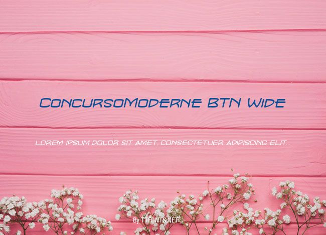 ConcursoModerne BTN Wide example